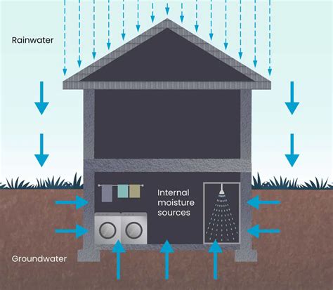 moisture meter for basements|high moisture level in basement.